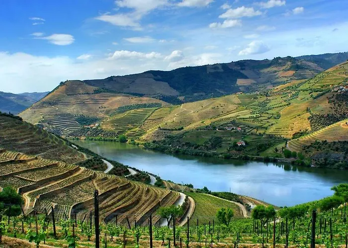 Casa Da Avo Semesterbostad Armamar